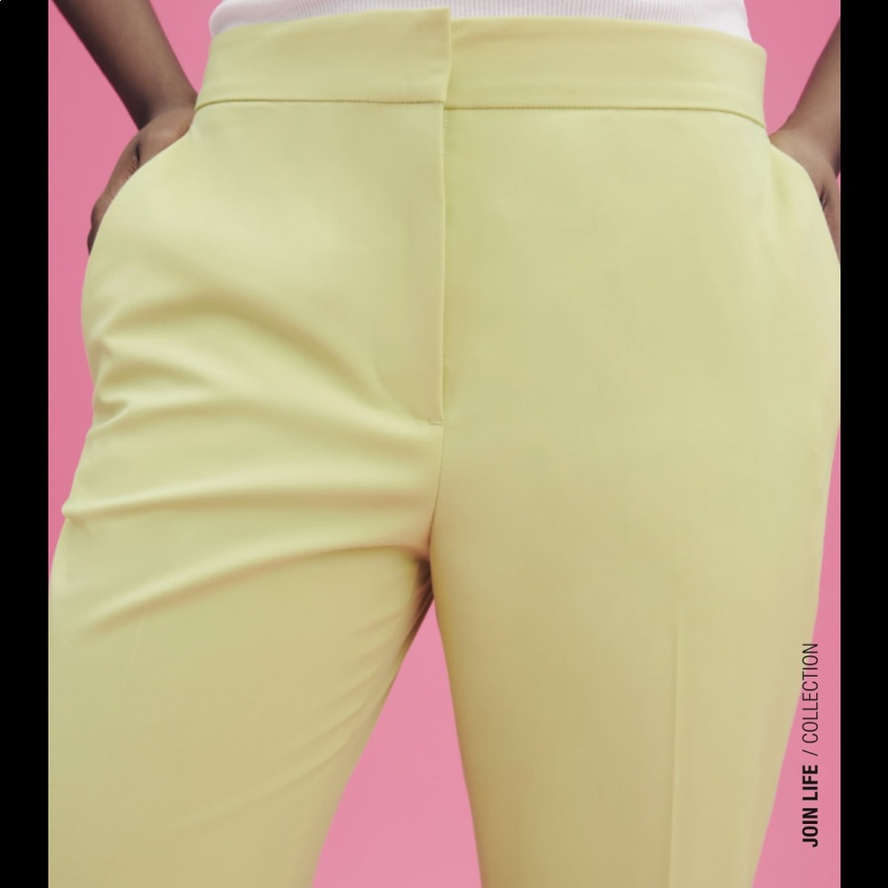 ZARA ANKLE PANTS